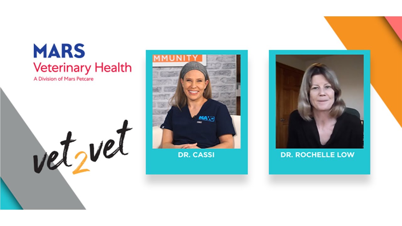 How Do We Support our Teams Through Patient Safety Events? | A Vet2Vet Conversation