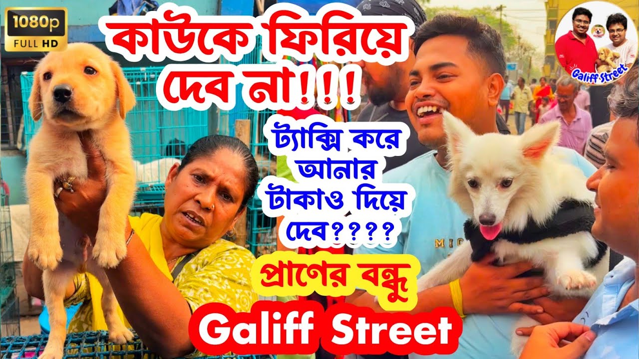 4600 টাকা থেকে কুকুর শুরু 😳🔥| Galiff Street Pet Market | Dog Market in Kolkata