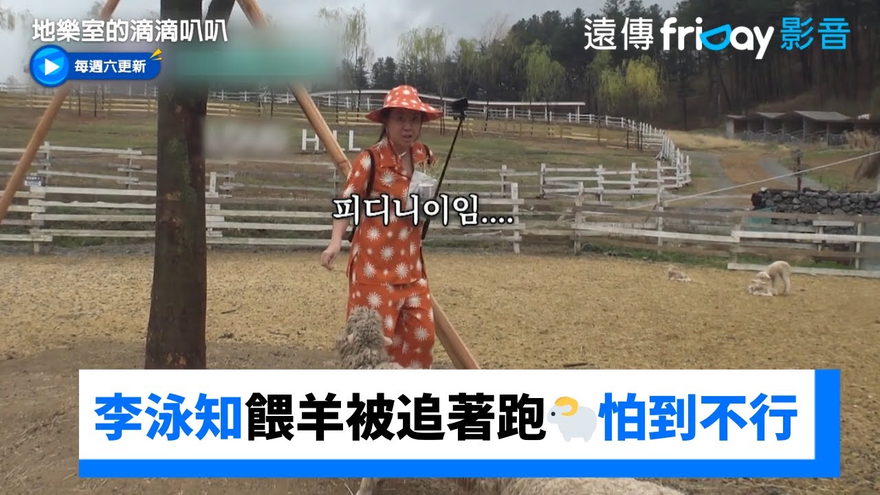 李泳知餵羊被追著跑🐑怕到不行_《地樂室的滴滴叭叭》第3集_friDay影音韓綜線上看