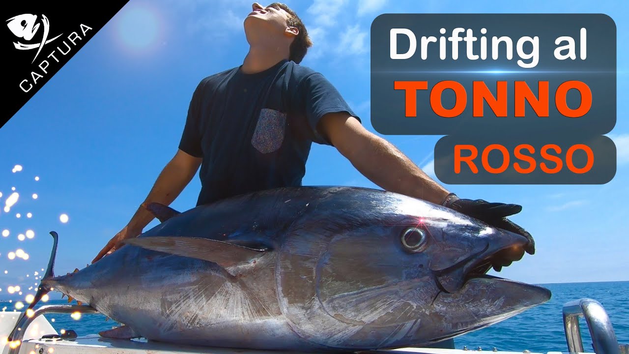 Pesca a Drifting al tonno rosso - Tonno Over 100 kg