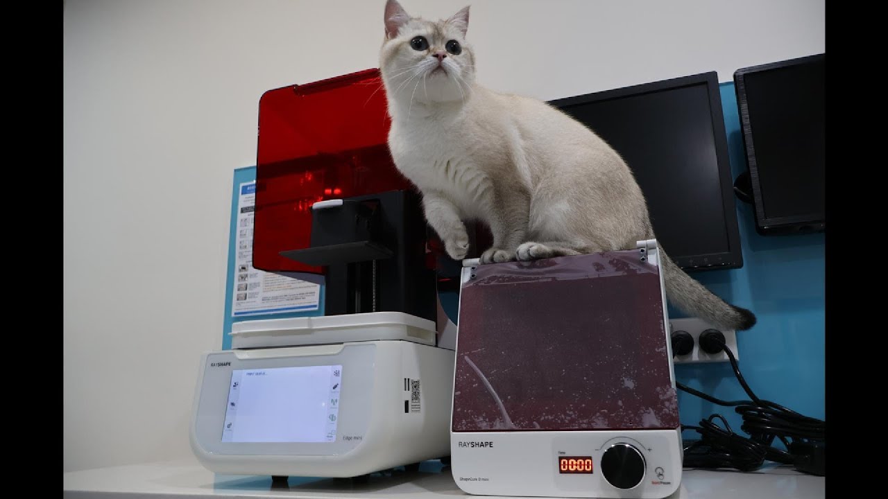 RAYSHAPE Edge Mini: The Resin 3D Printer Making Dental Printing Precise & Easy!