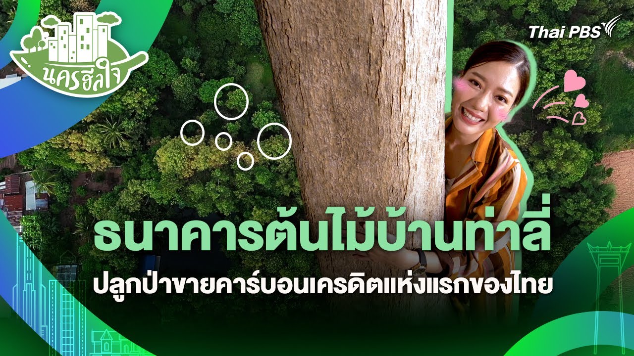 ธนาคารต้นไม้บ้านท่าลี่ปลูกป่าขายคาร์บอนเครดิตแห่งแรกของไทย | นครฮีลใจ