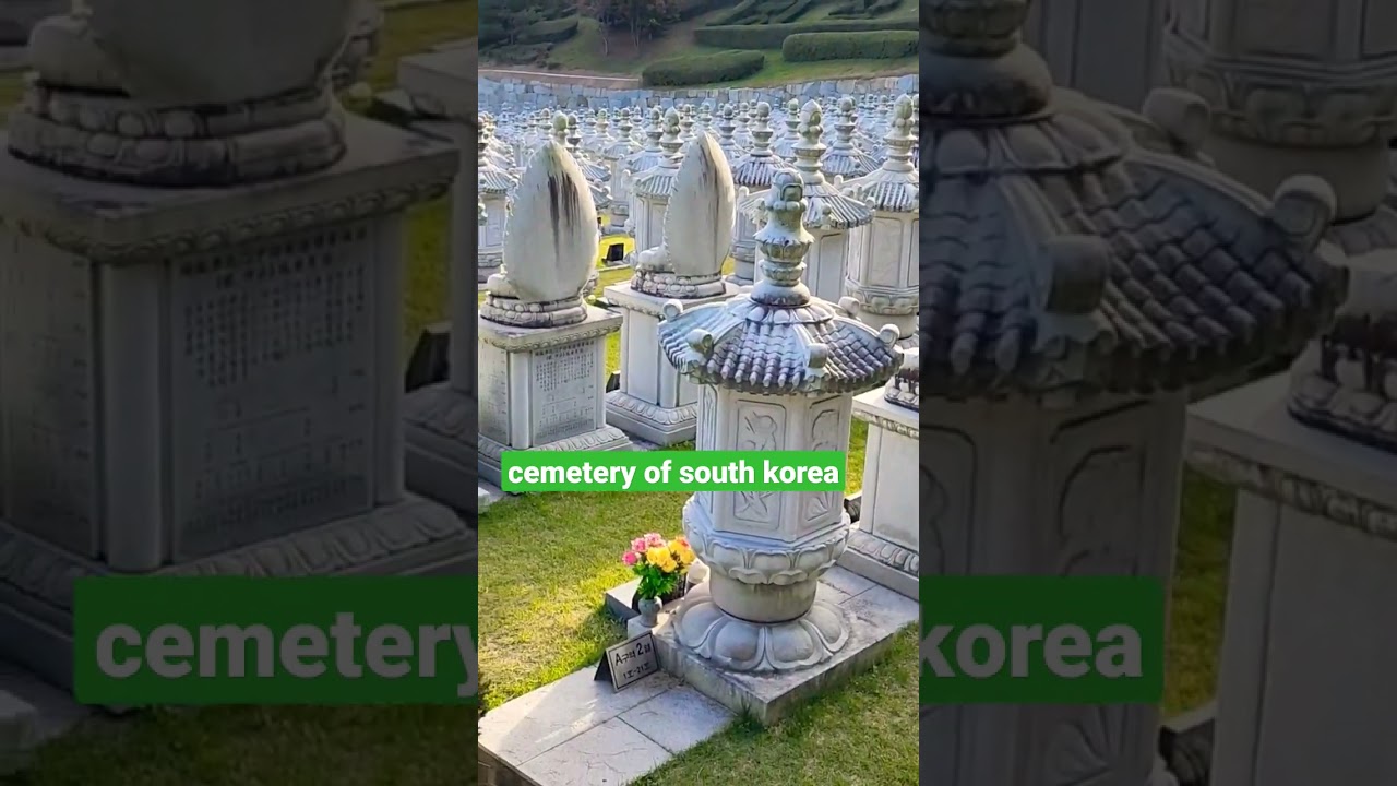 cemetery of south korea