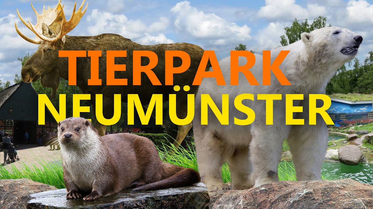Steht der Tierpark Neumünster zurecht in der Kritik? | Zoo-Eindruck