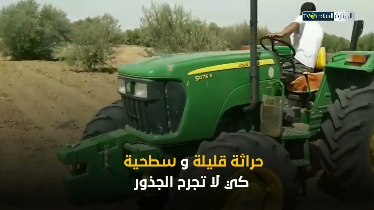 الحلقة 12 من نحكيو BiO :  الوقاية من مرض ذبول الزيتون