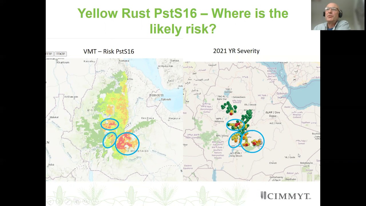 Dave Hodson - Overview of Current Wheat Rust Situation and Surveillance Systems