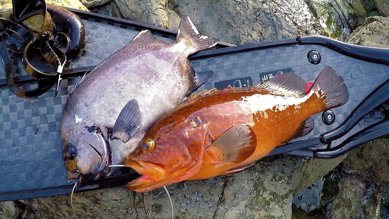 穏やかな海で魚突き
