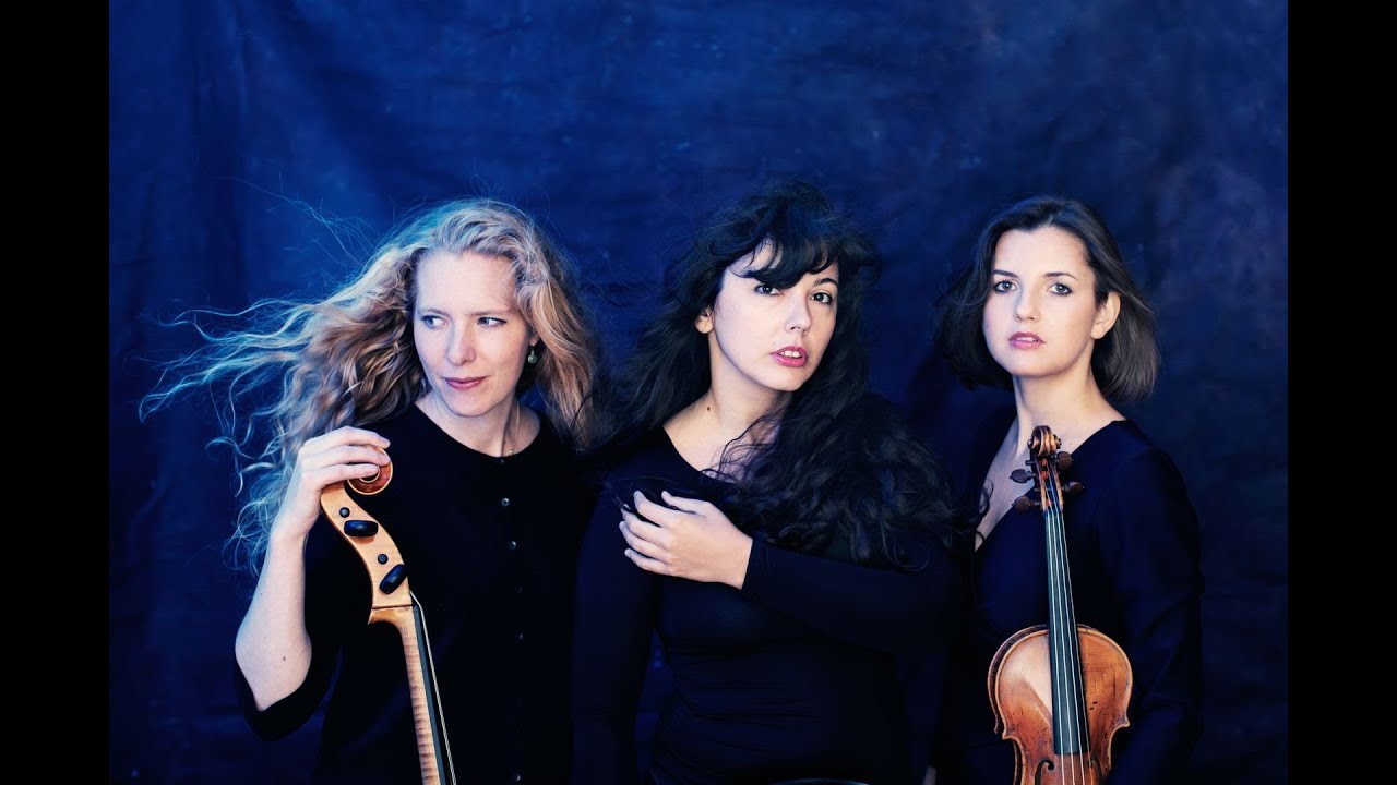 TRIO IMMERSIO : Entre Paris et Vienne | concert commandité par le Forum Culturel Autrichien Paris