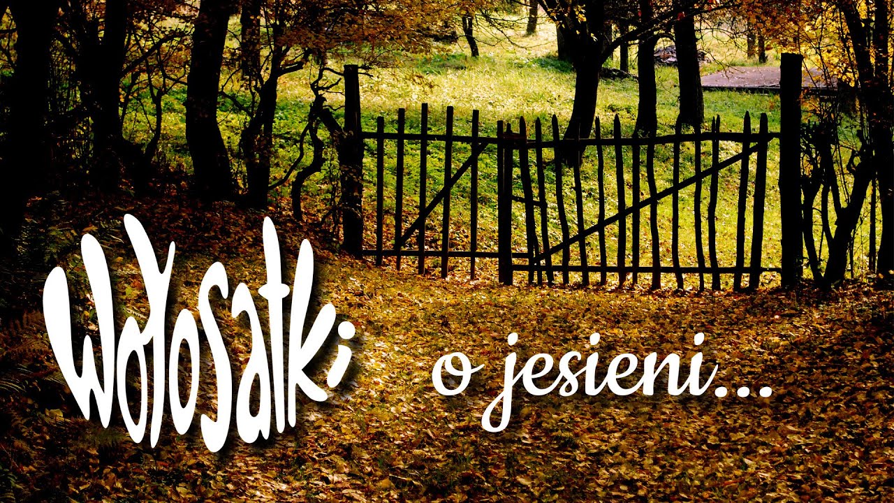 Wołosatki o jesieni...