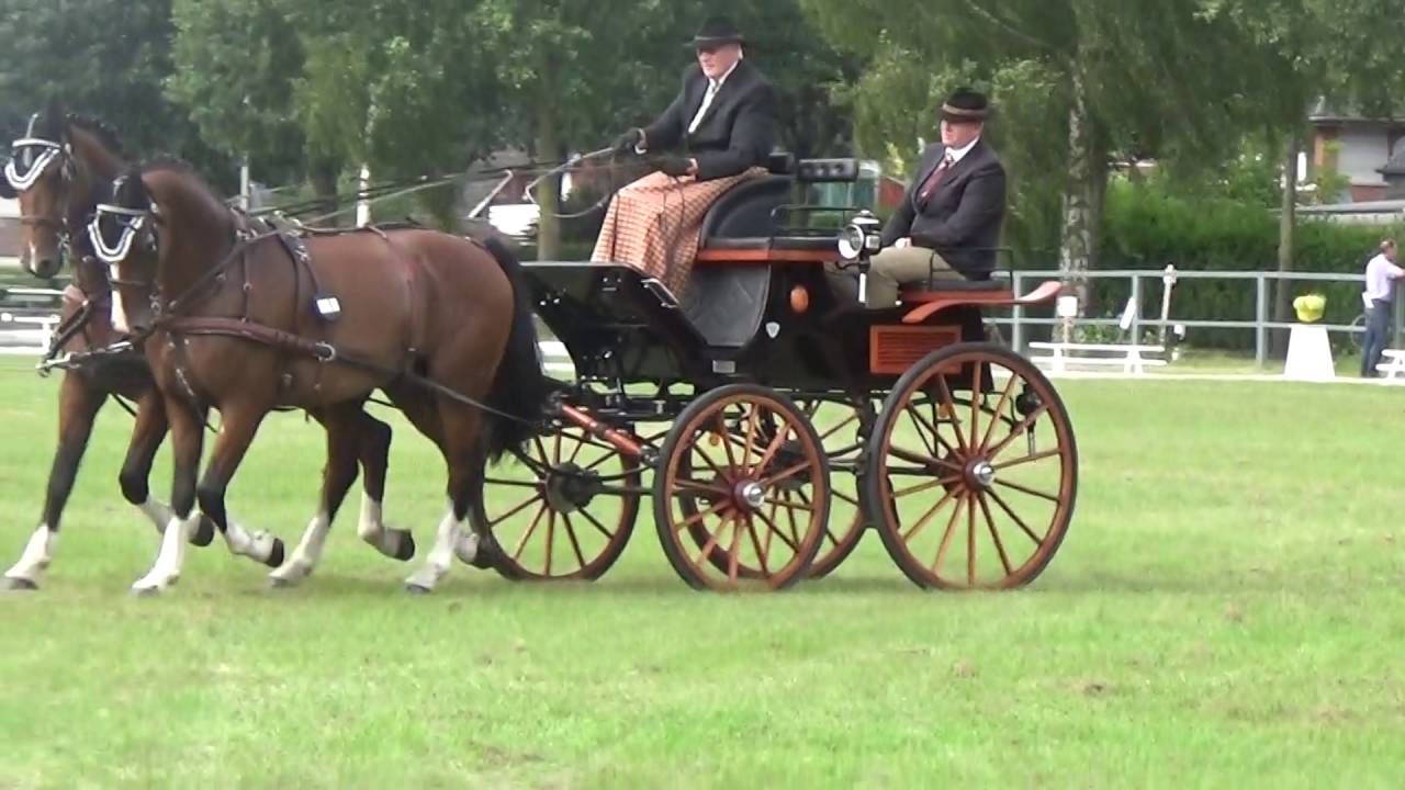 Fahrturnier Epe 2016 Dressur Ludger Schwitte