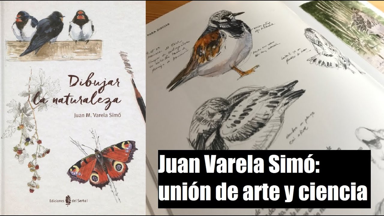 reseña: Juan Varela Simó: Dibujar la Naturaleza (Ediciones del Serbal, 2016) - el arte y la ciencia