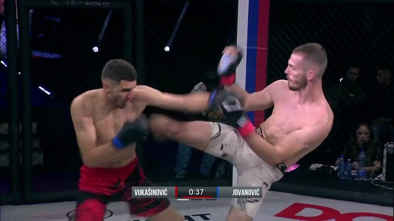 MMA LIGA SRBIJE / Vukašinović - Jovanović