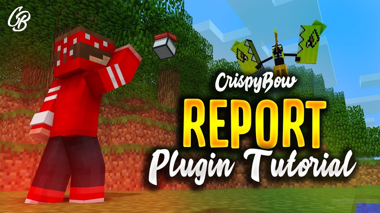 Report Plugin Tutorial - with JSON (Minecraft ReportPlayer Plugin)