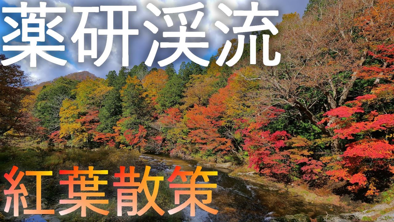 【薬研渓流】奥薬研 紅葉散策【青森県むつ市】4K60P 空撮あり Yagen mountain stream, Autumn leaves in Mutsu City, Aomori Pref