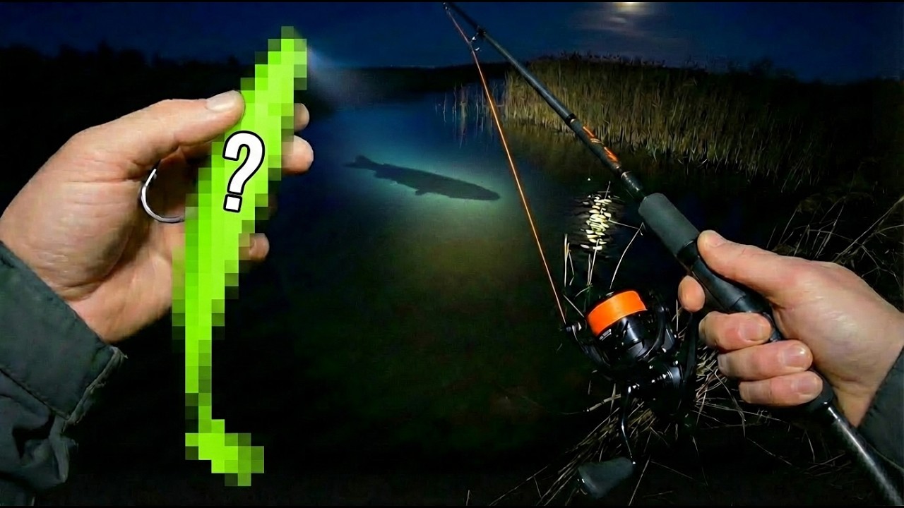 Dieser NEON-KÖDER fängt MEGA-ZANDER in der Nacht! 🦇