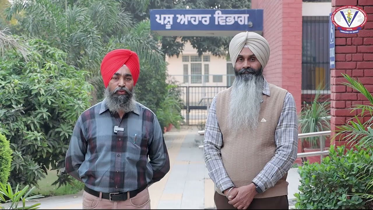 ਫੋਰਟੀਫਾਈਡ  ਡੇਅਰੀ ਪ੍ਰੀਮਿਕਸ- ਵੈਟਨਰੀ ਯੂਨੀਵਰਸਿਟੀ ਦੁਆਰਾ  ਦੁਧਾਰੂ ਪਸ਼ੂਆਂ ਲਈ ਵਿਕਸਤ ਨਵੀਂ ਤਕਨੀਕ