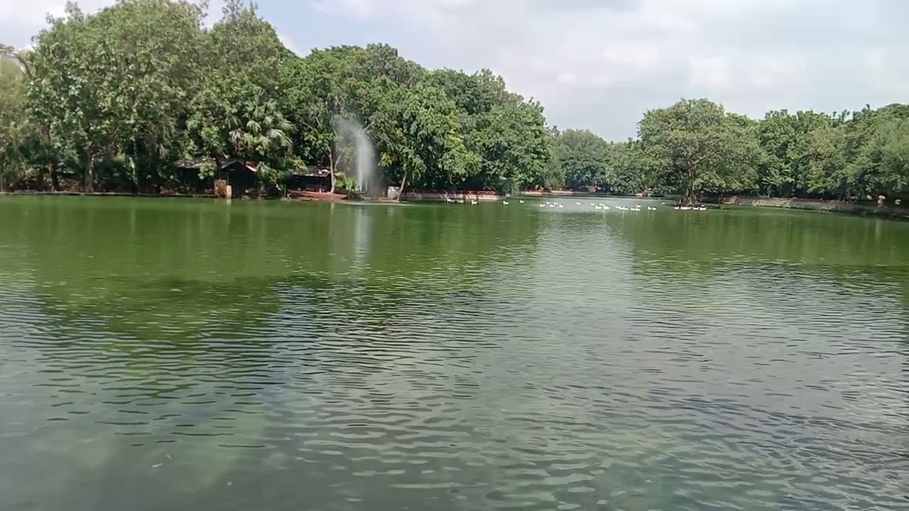 jheel park ( Kalindi college)