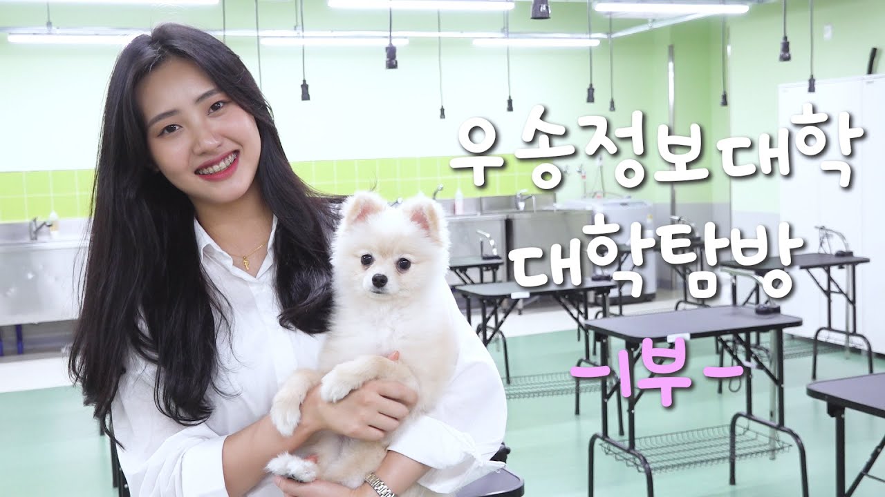 우송정보대학은 어떤 모습일까?
