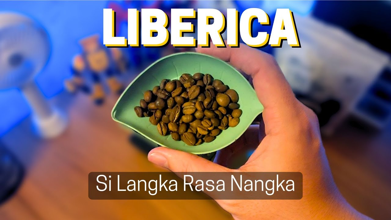 Mengenal Kopi Liberica: Si Langka dengan Rasa Nangka
