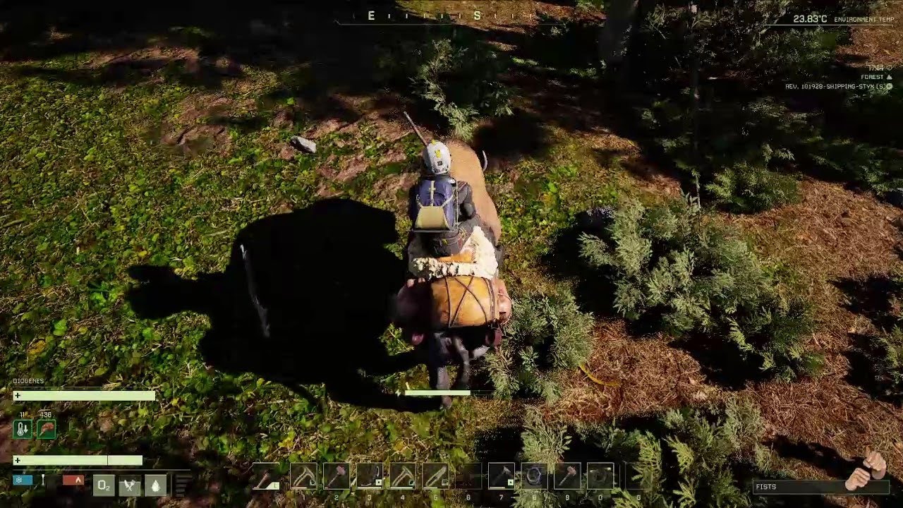 Icarus: getting a buffalo mount
