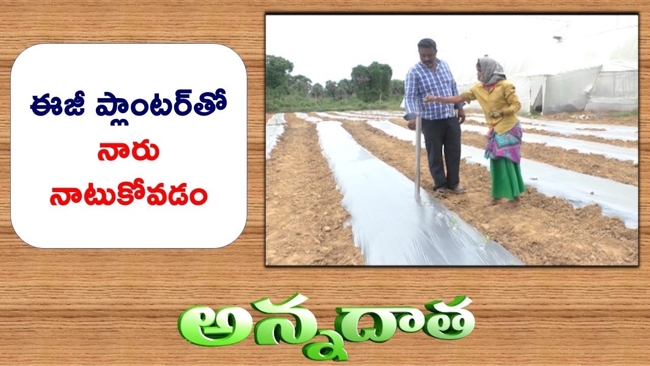 Easy Planter | A Simple Tool for Low Cost Transplantation | Of Horticrops || ETV Anndata
