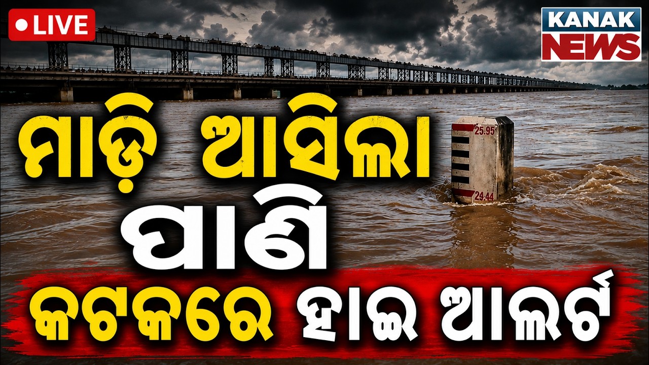 🔴LIVE ମହାନଦୀରେ ମାଡ଼ି ଆସିଲା ପାଣି Mahanadi Flood Alert | Flood News | Flood Alert In Odisha | Mundali