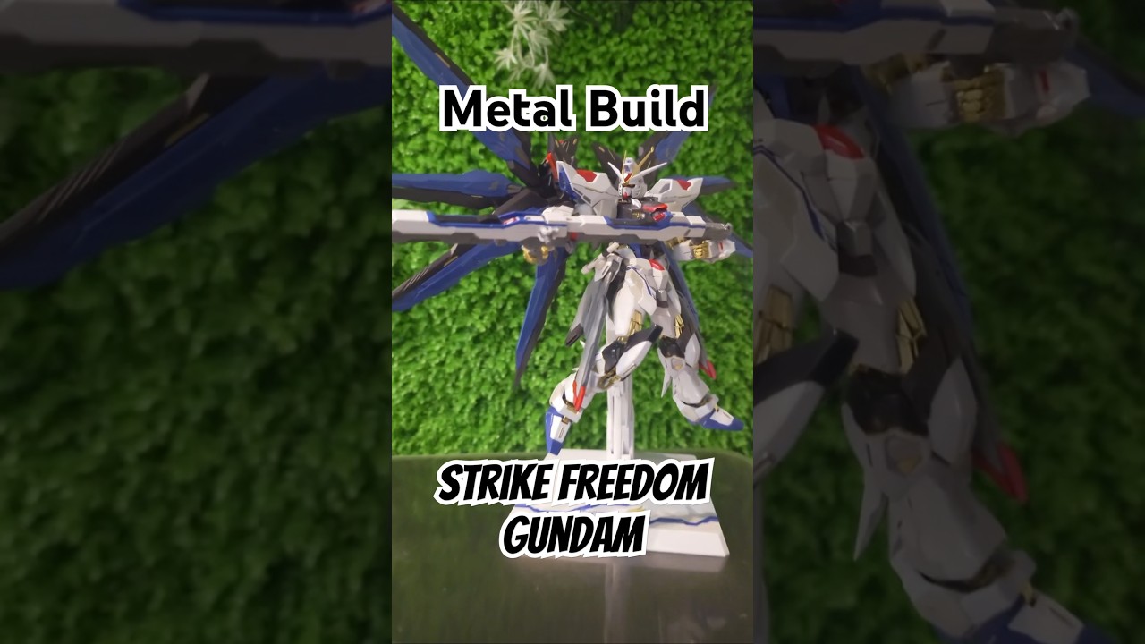 Metal Build Strike Freedom #metalbuild #Gundam
