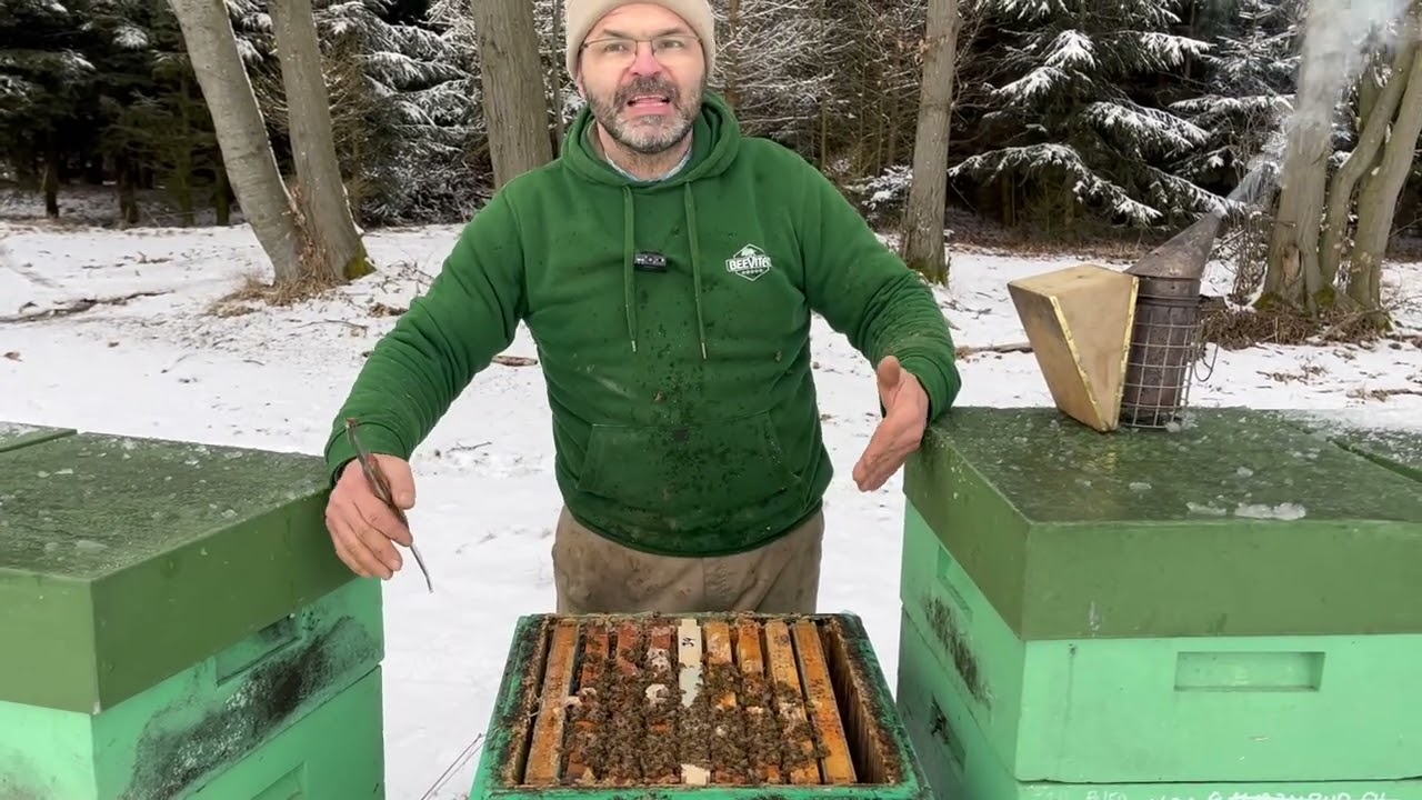 32/26 Ale tady jsem na horách na Drahansku nedělal NIC. 15.2.26
