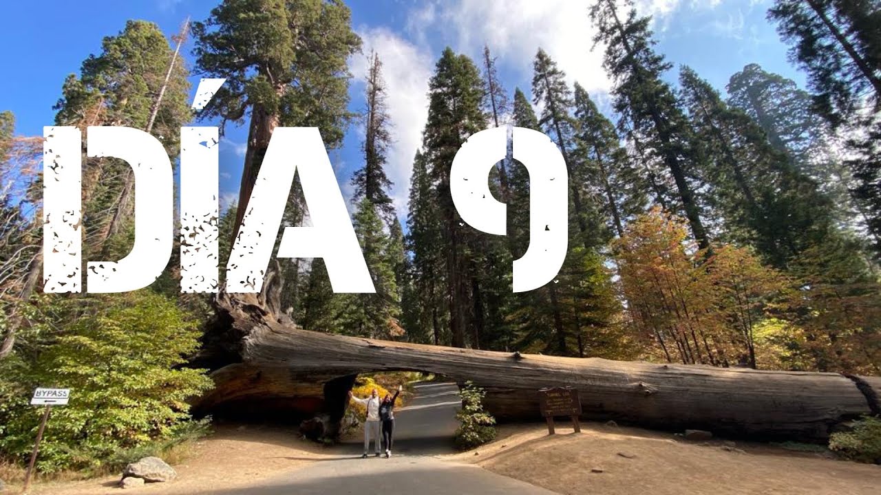 Ruta de la Costa Oeste 🇺🇸 Día 9: Sequoia National Park (California)
