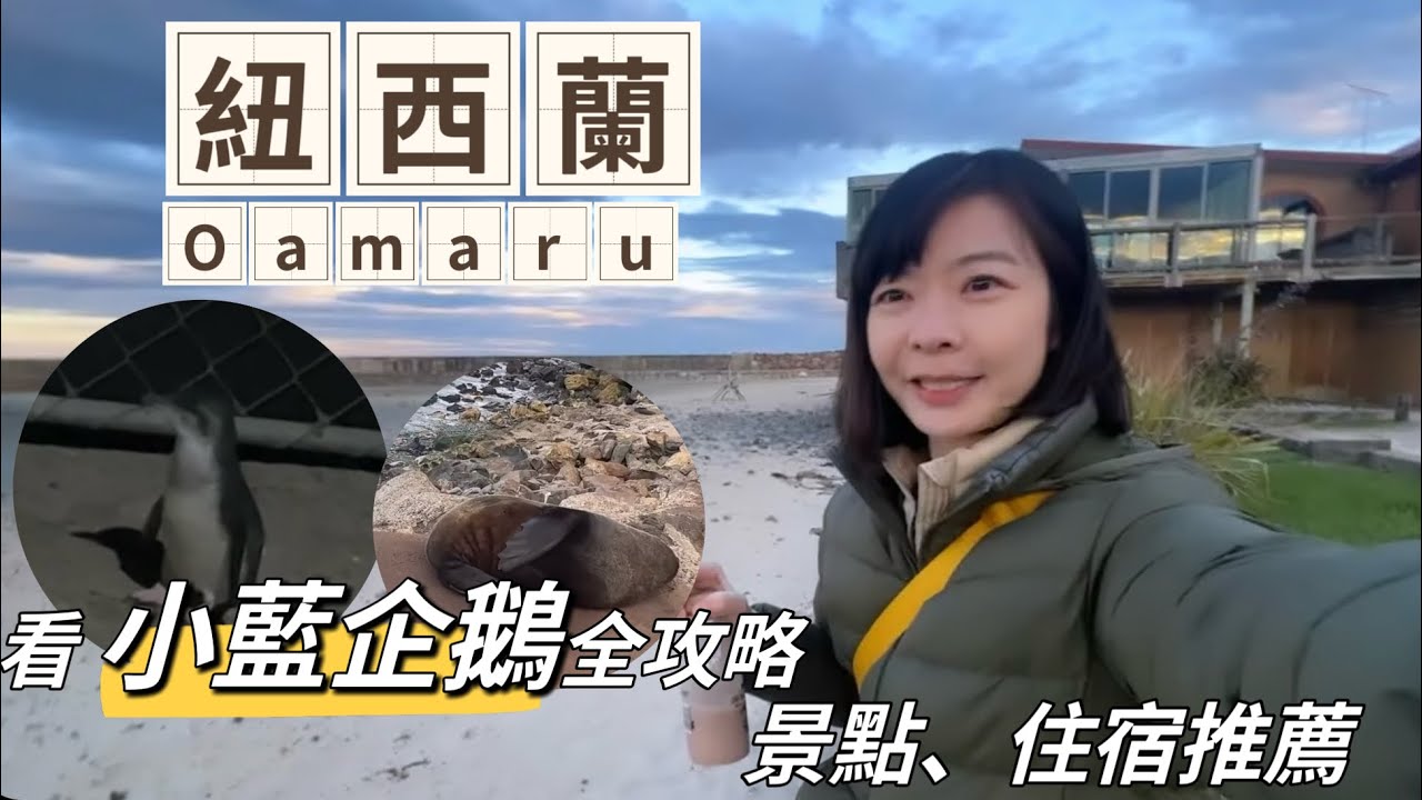 【紐西蘭Ep.2 】南島奧馬魯看小藍企鵝全功略🐧 • 行程分享• 住宿景點推薦！｜Melofunplay 美樂玩不累