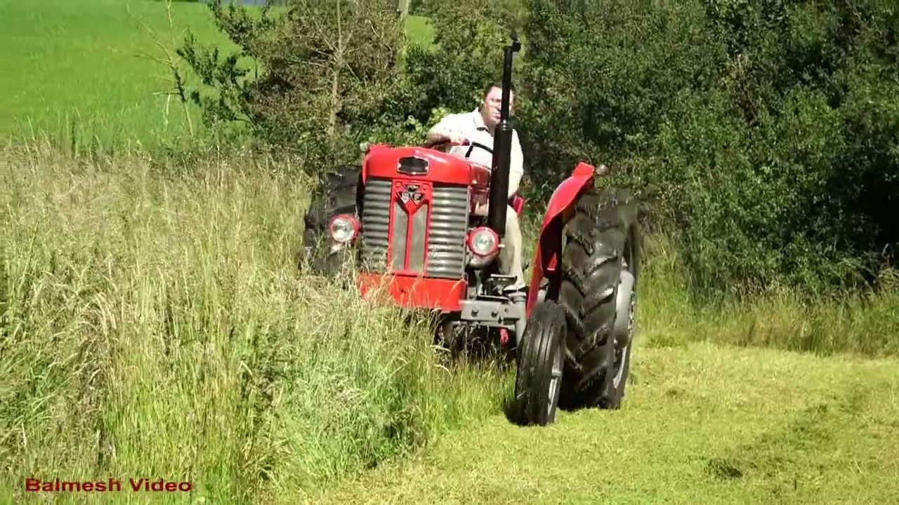 Vintage MF 65 Mows the Grass!