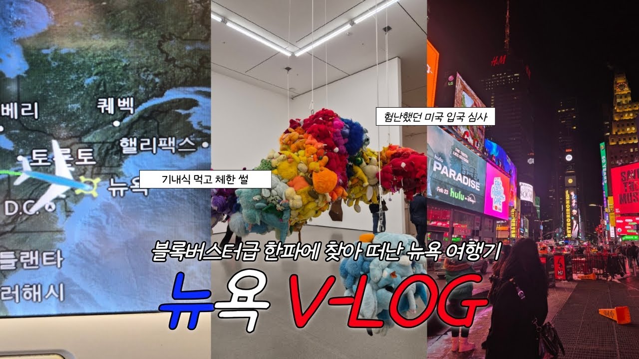 [여행 VLOG] 나홀로 in. 뉴욕 | 험난했던 미국 입국심사 썰 | 면세쇼핑 언박싱 | MOMA 미술관 | 타겟 쇼핑 | ep.1