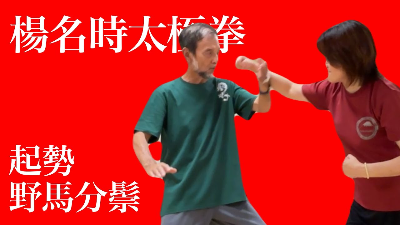 【楊名時太極拳】武術的な側面から見る起勢、野馬分鬃