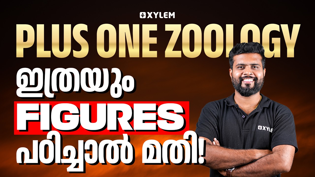 Plus One Zoology | ഇത്രയും Figures പഠിച്ചാൽ മതി | Xylem Plus One