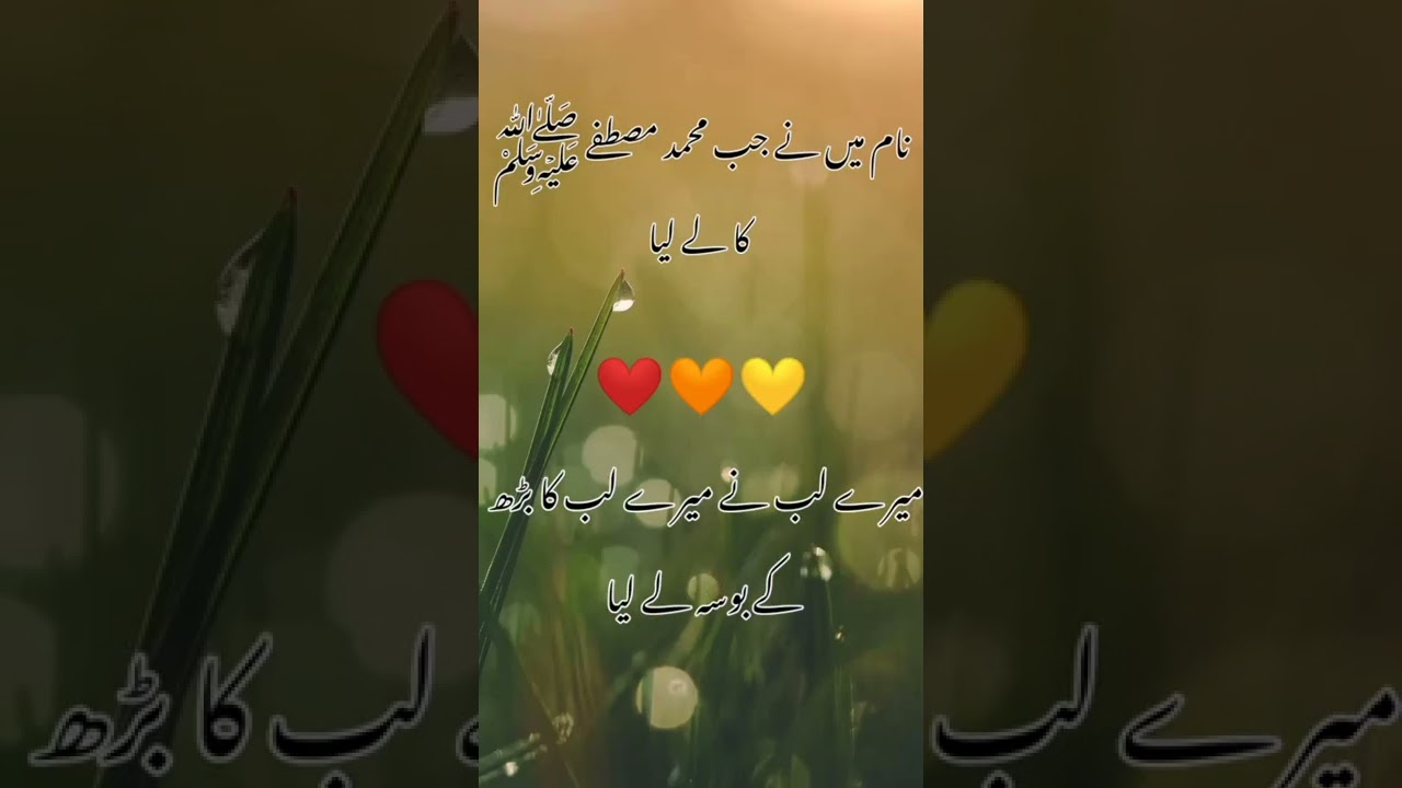 Naam jab main ne muhammad e mustafa ﷺ ka lay liya || URDU Poetry