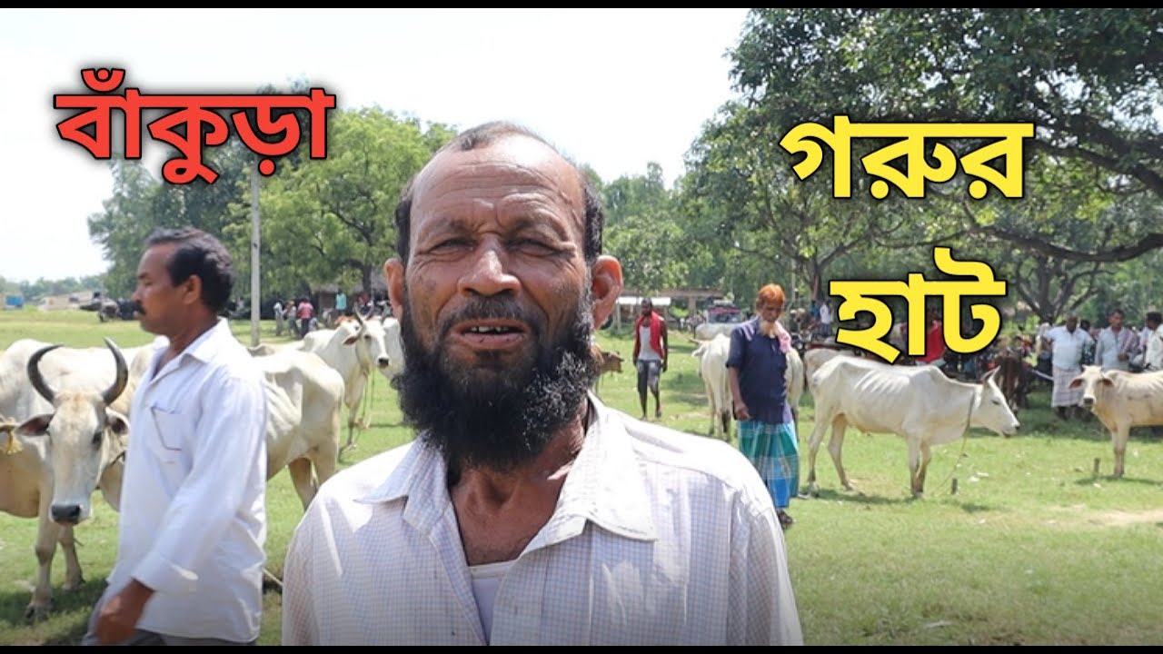 গরুর হাট , বাঁকুড়া/Cow Market, Bankura.