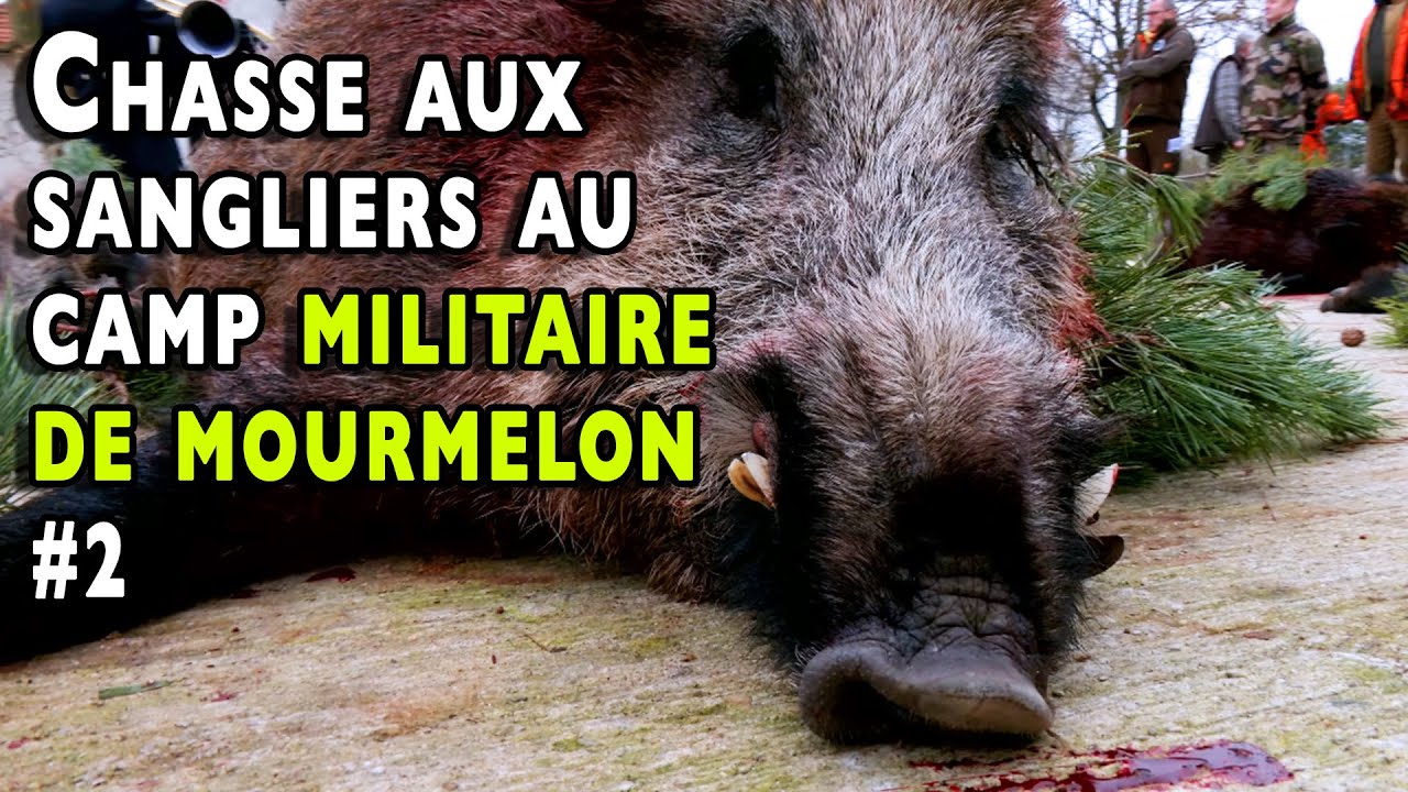 Saint Hubert &agrave; Mourmelon - Battue aux grands gibiers