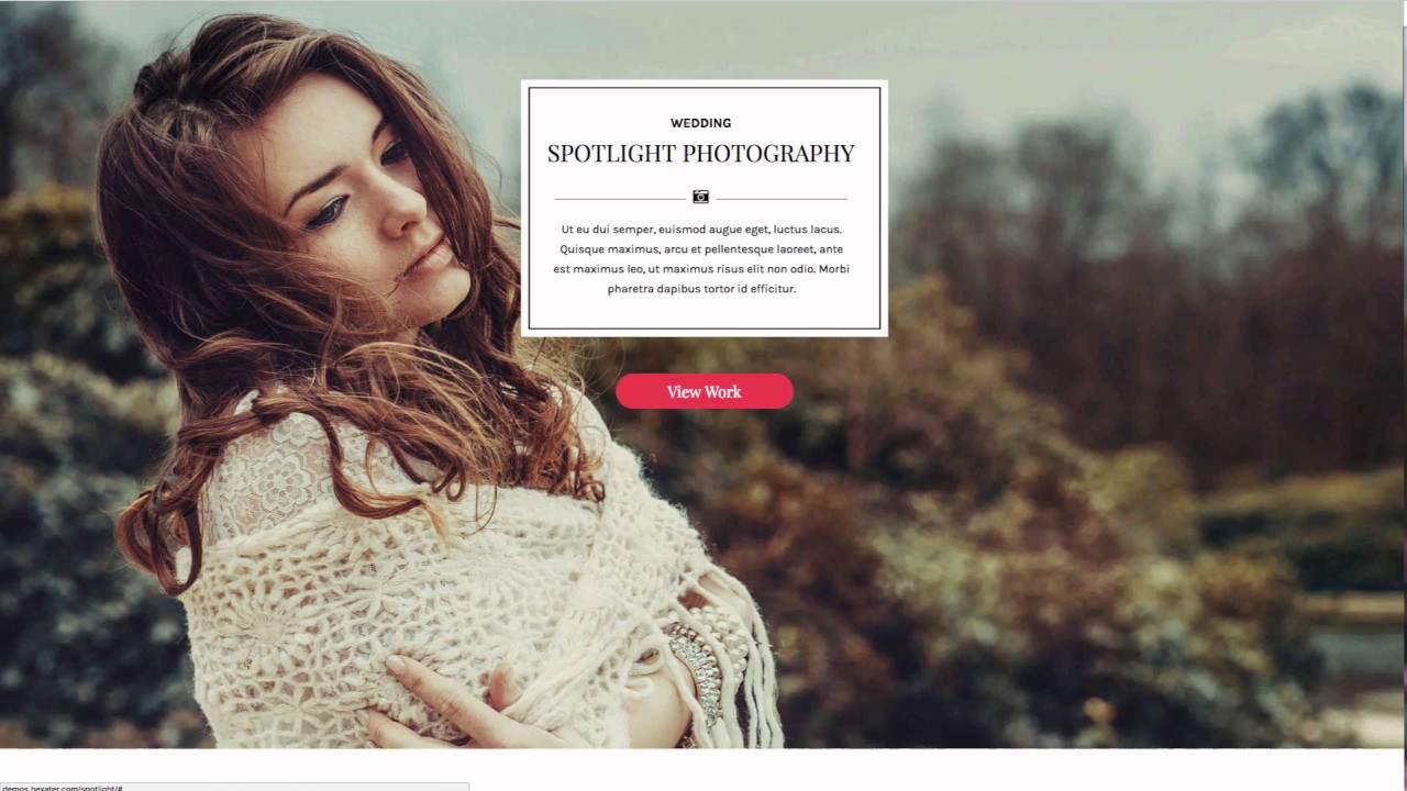 WP Theme Ultima