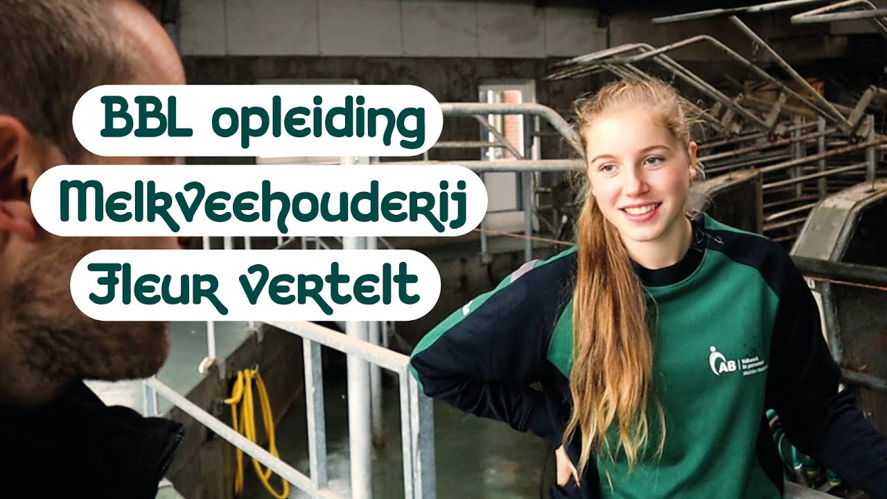 BBL opleiding Melkveehouderij volgen via AB Midden Nederland | BBL opleiding