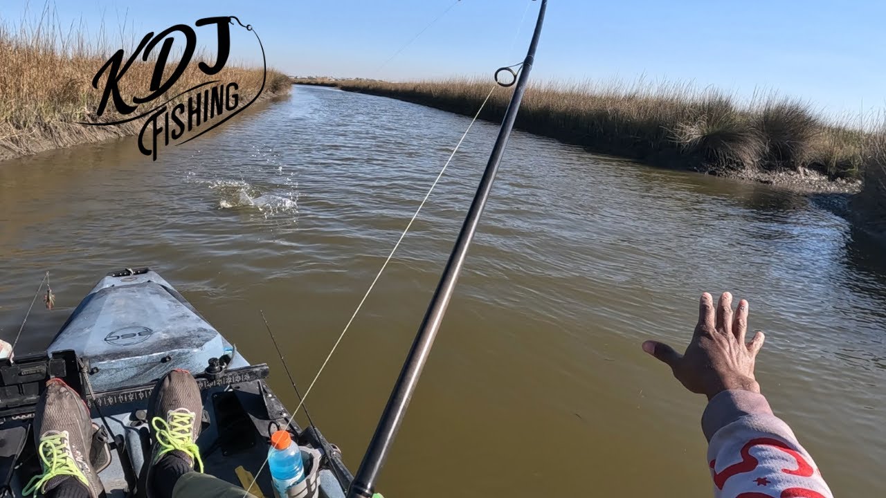 Короткая послеобеденная поездка | Рыбалка сразу после фронта