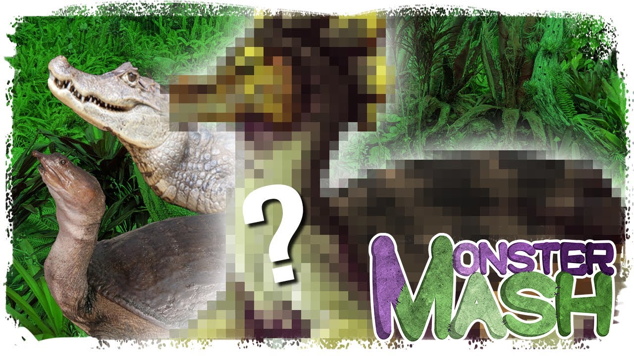 Prey from the Deep! | Monster Mash Jungle Biome | Pt 2. Prey