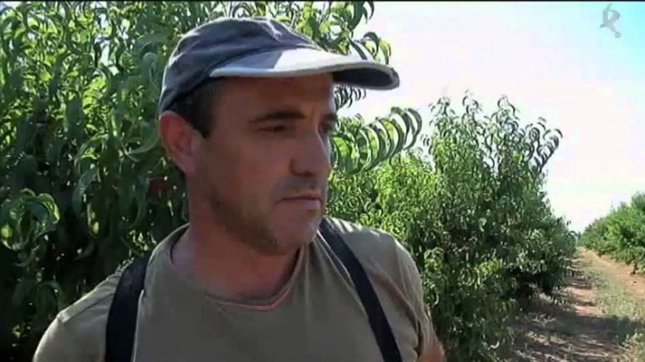 REPORTEROS - GRUPO SOL BADAJOZ