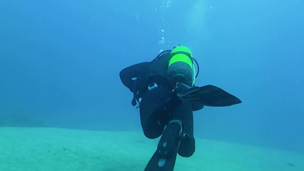 Scuba dive - Orange Coral - Playa Chica - Puerto del Carmen - Lanzarote - 18th Feb 2026 (2nd dive)