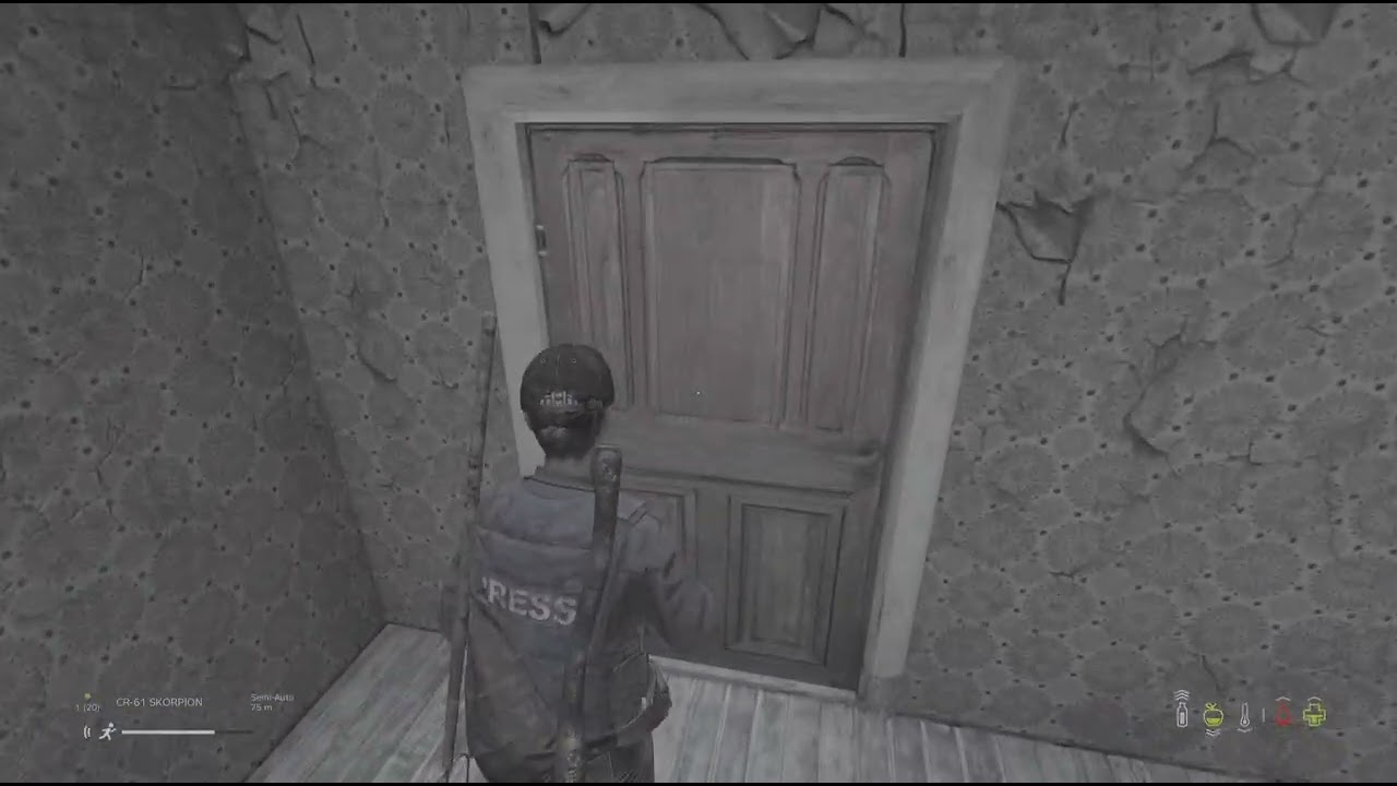 DayZ_20240824144342