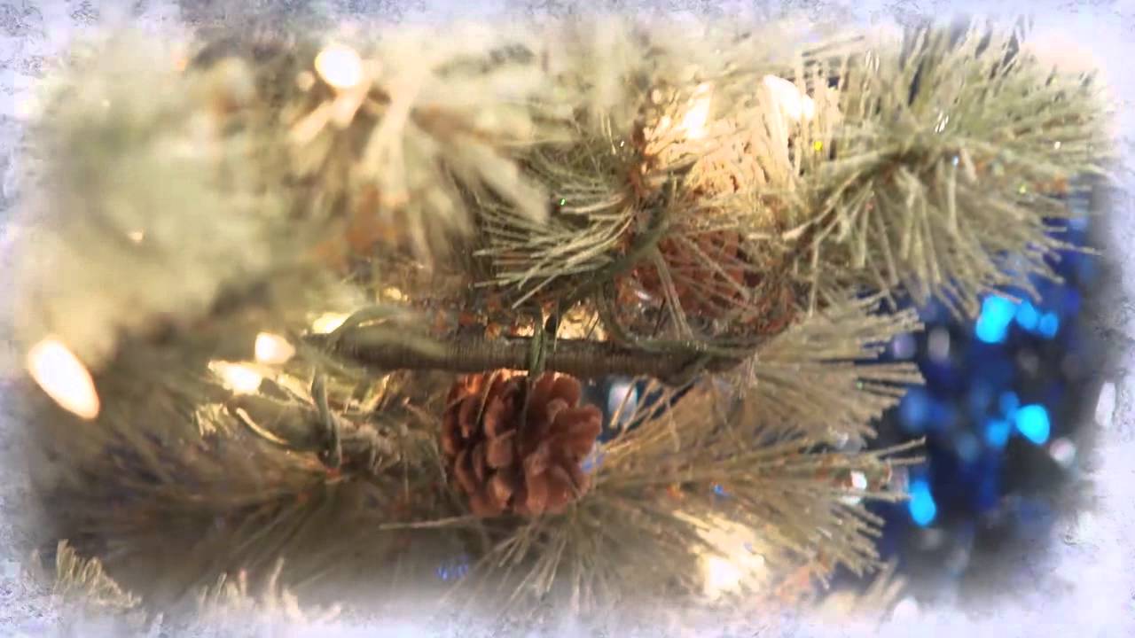 Modern Display Christmas Trees
