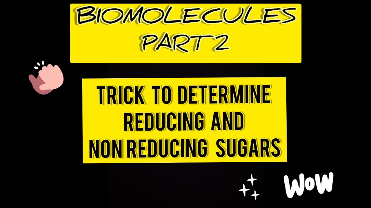 TRICK TO IDENTIFY REDUCING AND NON REDUCING SUGARS | NEET | JEE | CHEMISTRY | TAMIL