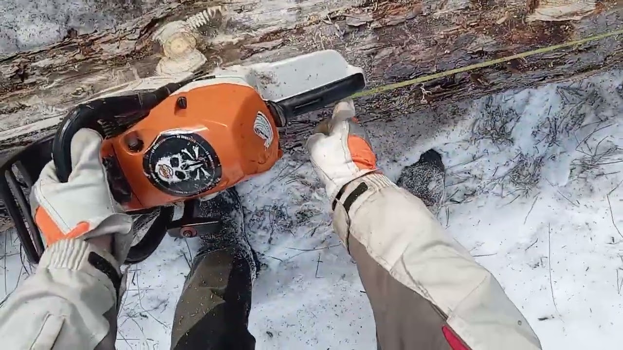 More Logging | Weitere Holzernte | Další těžba | STIHL MS462