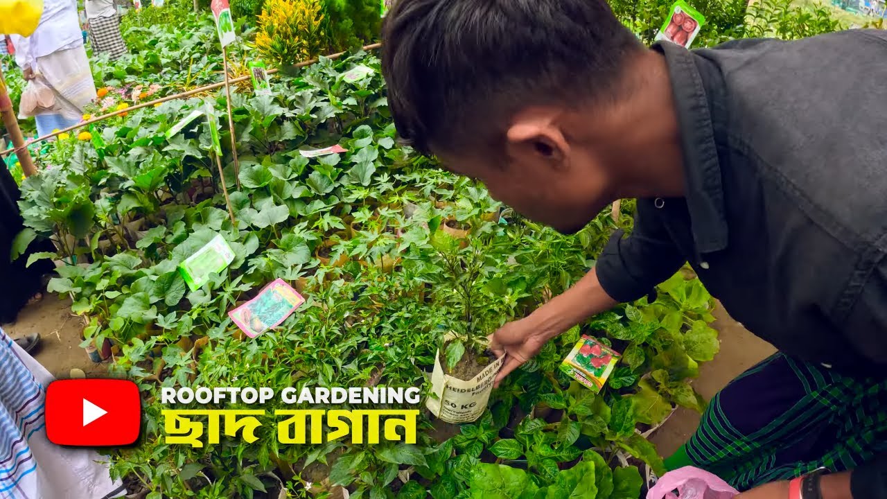 ছাদবাগান | Rooftop Gardening | BD Vlog life