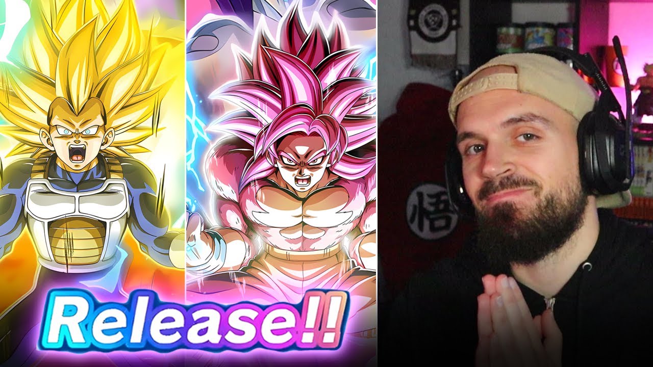 PARDON MES GARS DE DOKKAN , PARDON ... | Invocation Goku SSJ4 & Vegeta SSJ3 Daima 11 ans