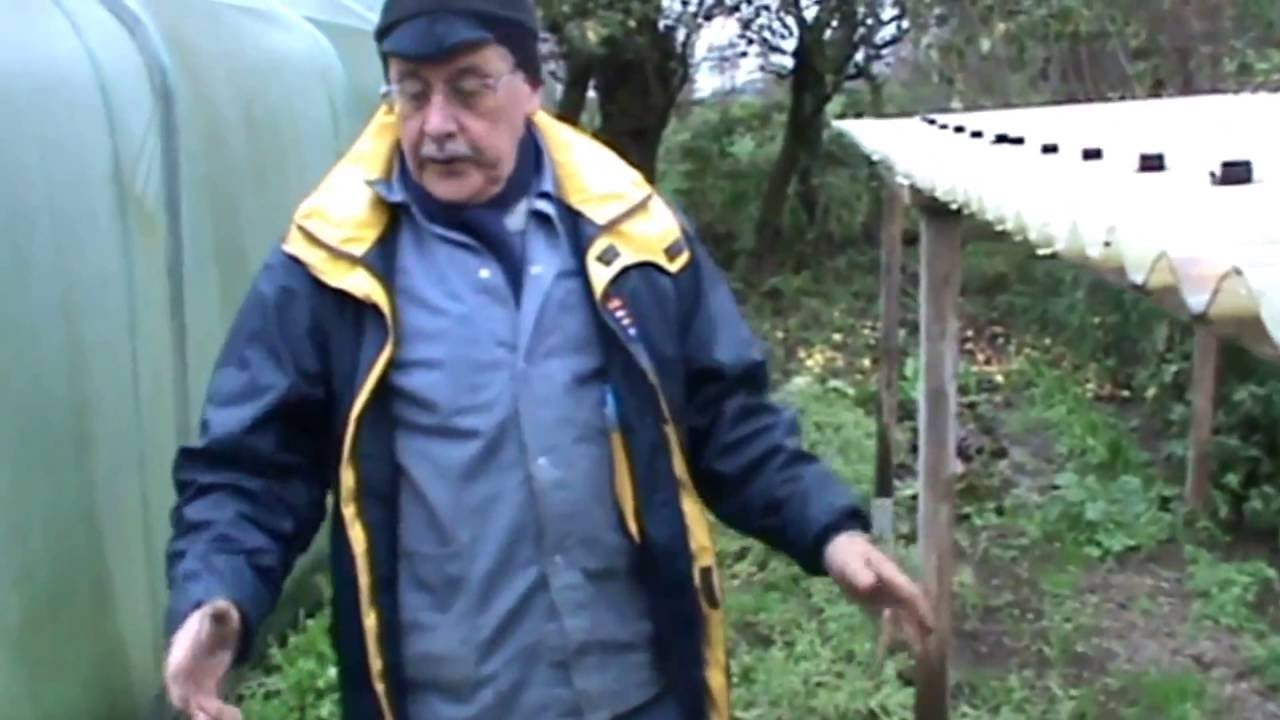 Fraternités Ouvrières 2016 11 faire les chicons